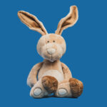 Rabbit big ears face