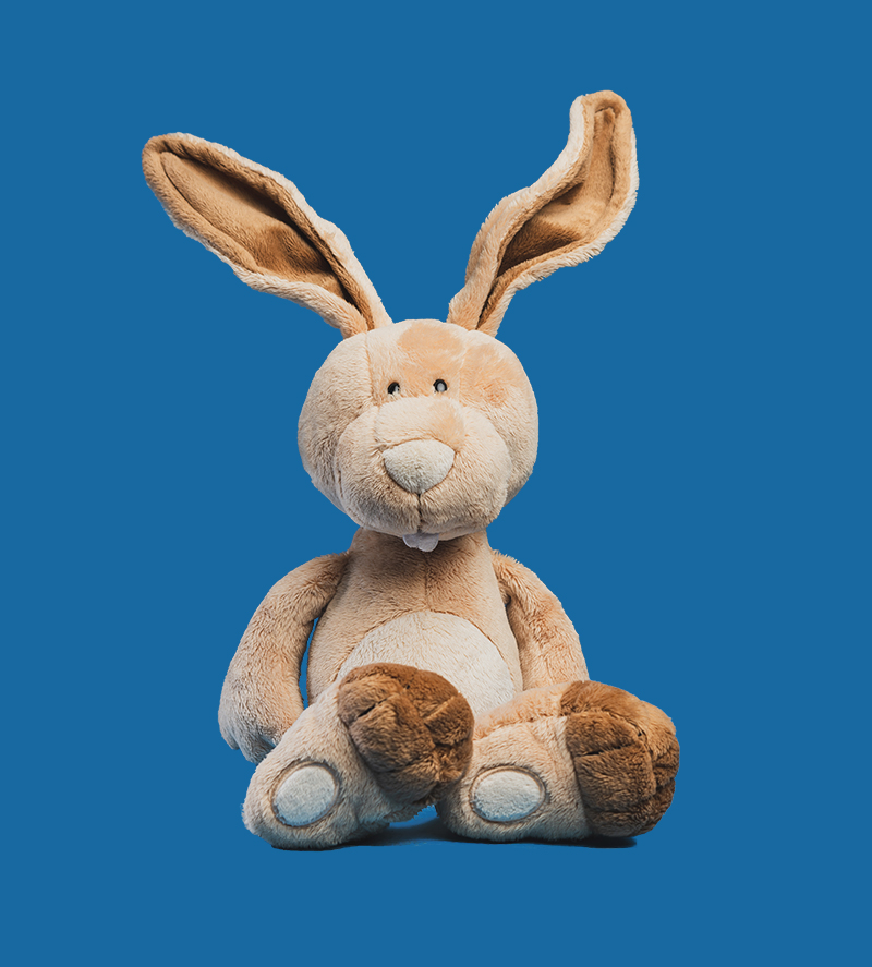 Rabbit big ears face